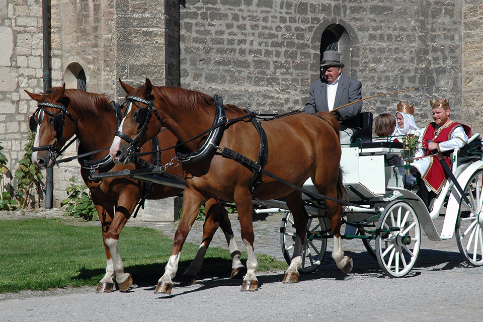 A regal arrival at the Fürstenbau building, Photo: Roy Tempel © Photo-Tempel, Naumburg (Saale)